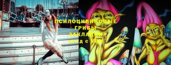 МДПВ Алзамай