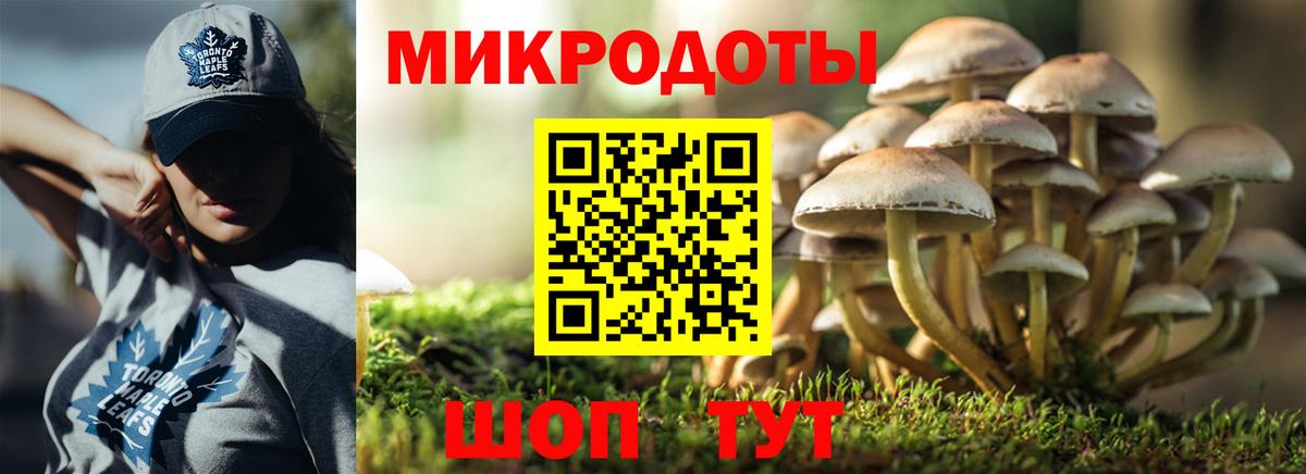 Псилоцибиновые грибы Psilocybine cubensis  Вход с VPN  Обнинск 
